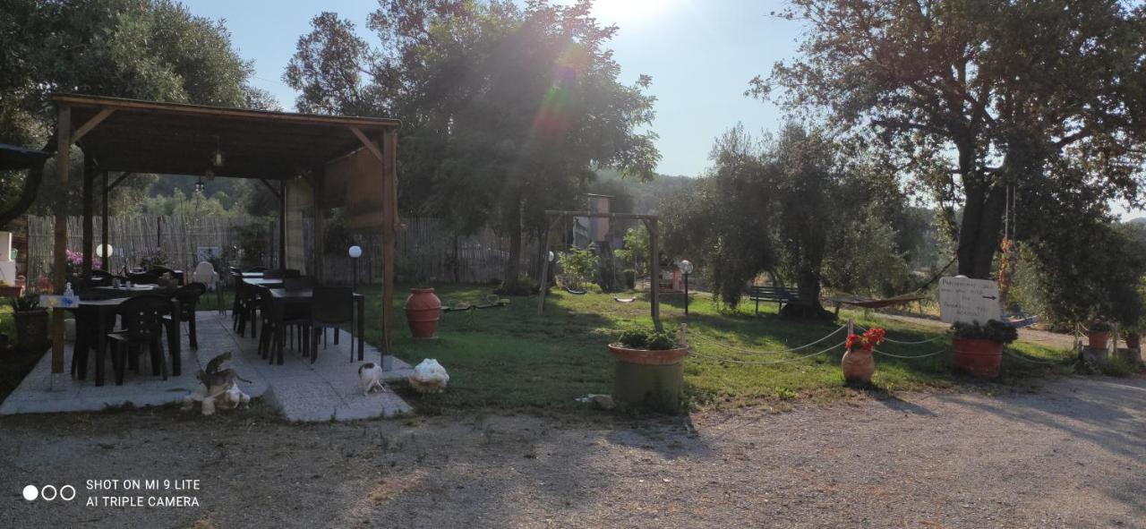 Agriturismo Poggio All'Olivo Follonica Exteriör bild