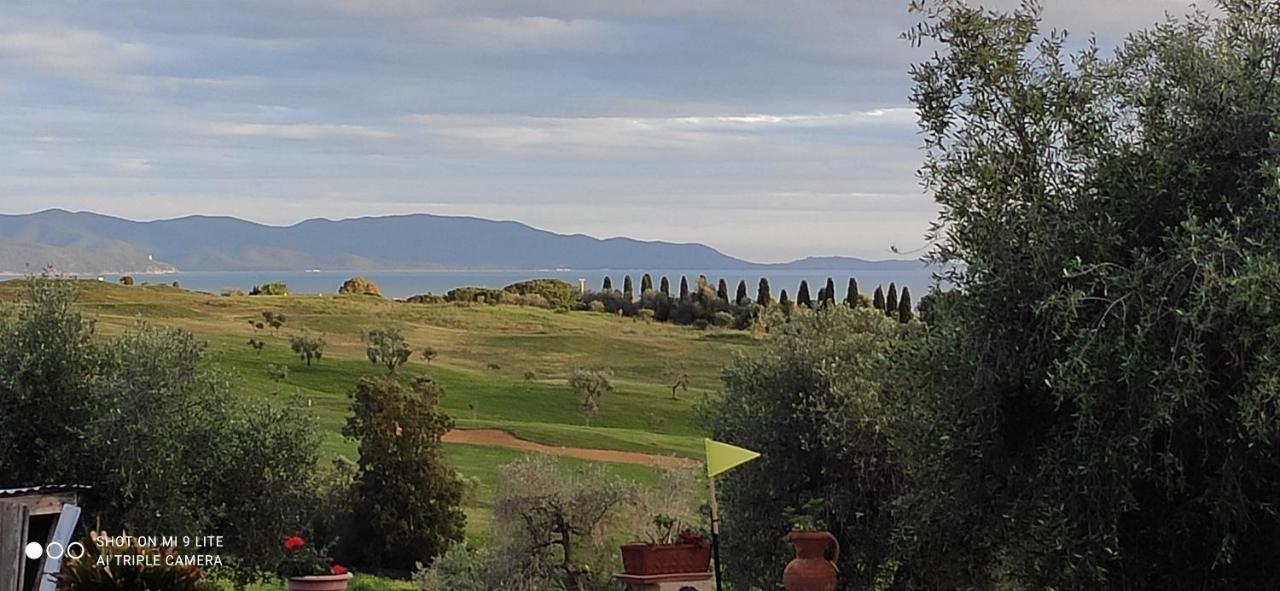 Agriturismo Poggio All'Olivo Follonica Exteriör bild