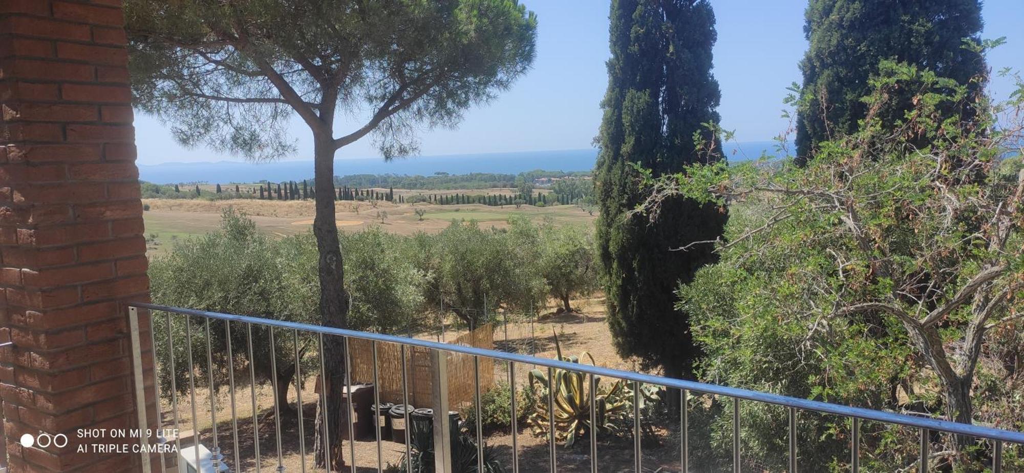 Agriturismo Poggio All'Olivo Follonica Rum bild